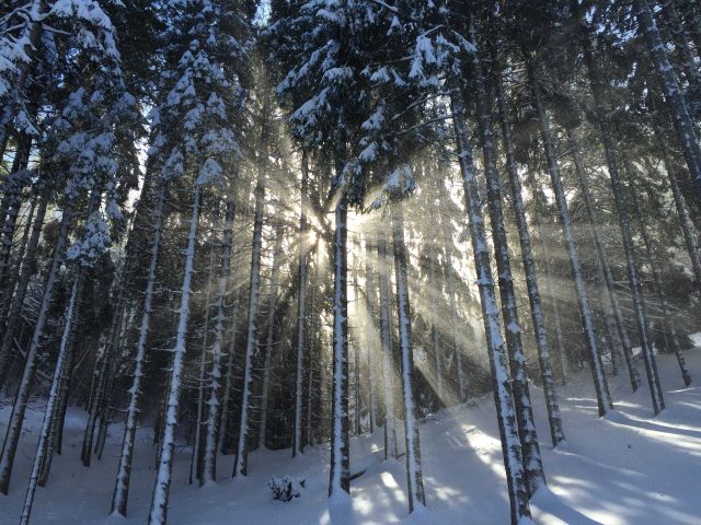 Finding Light In The Darkness