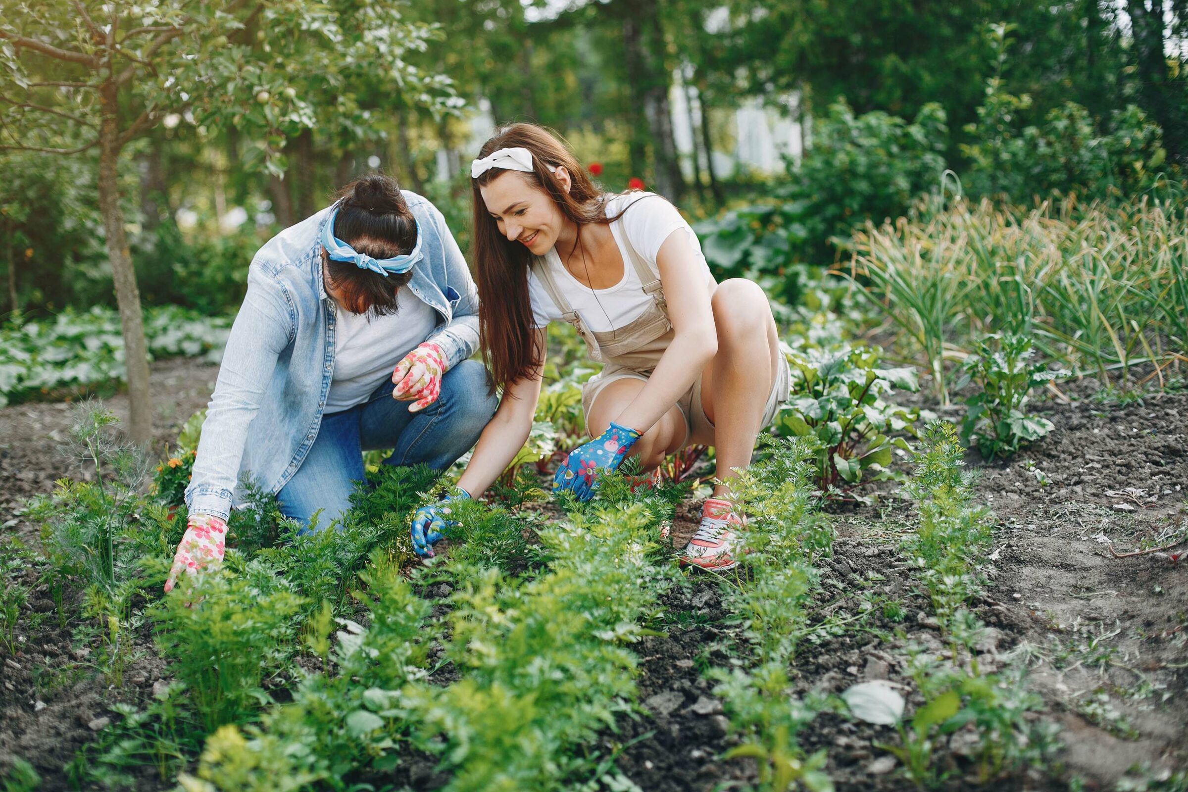 Beautiful Women Works In A Garden Near The House