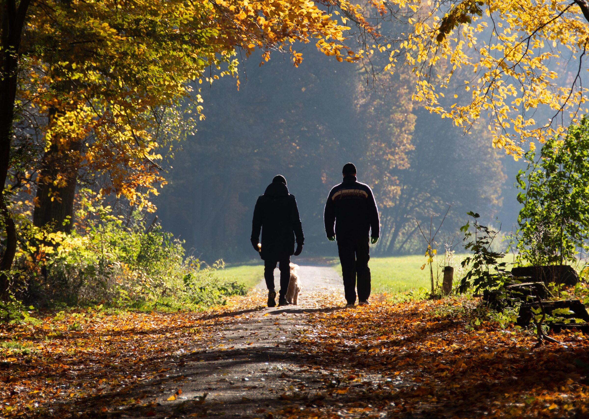 Two Men Walking Unsplash Image