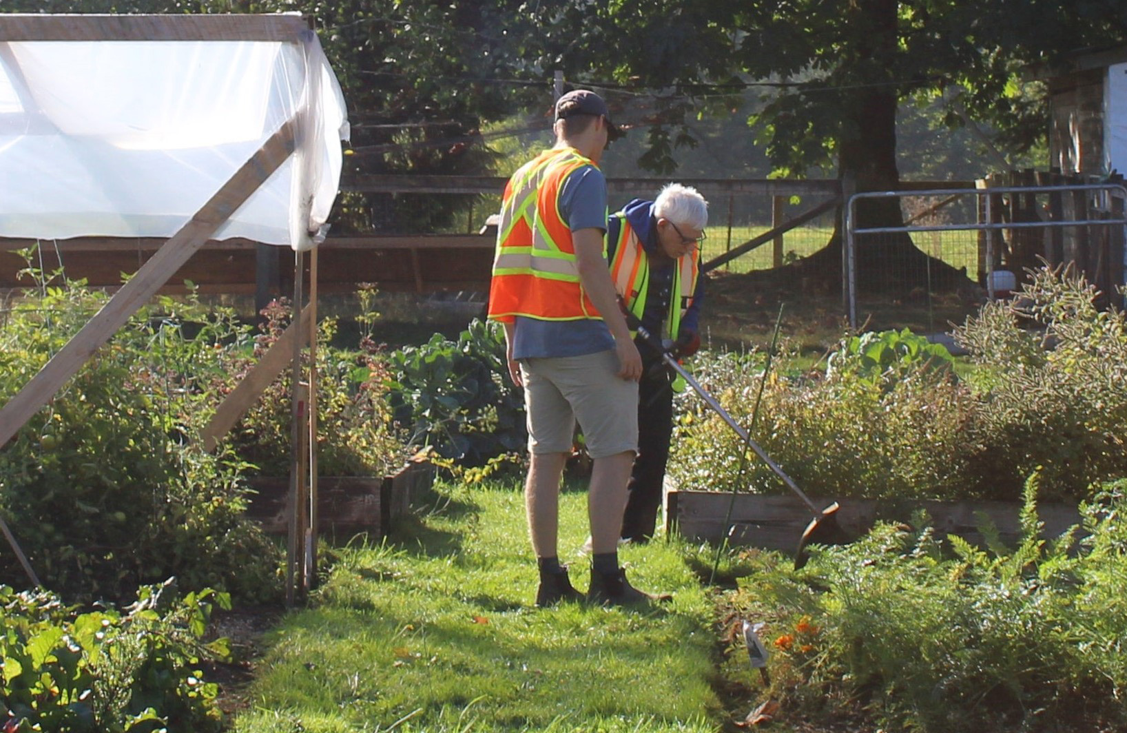 Weeding The Garden